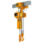 monoray çift zincirli vinç